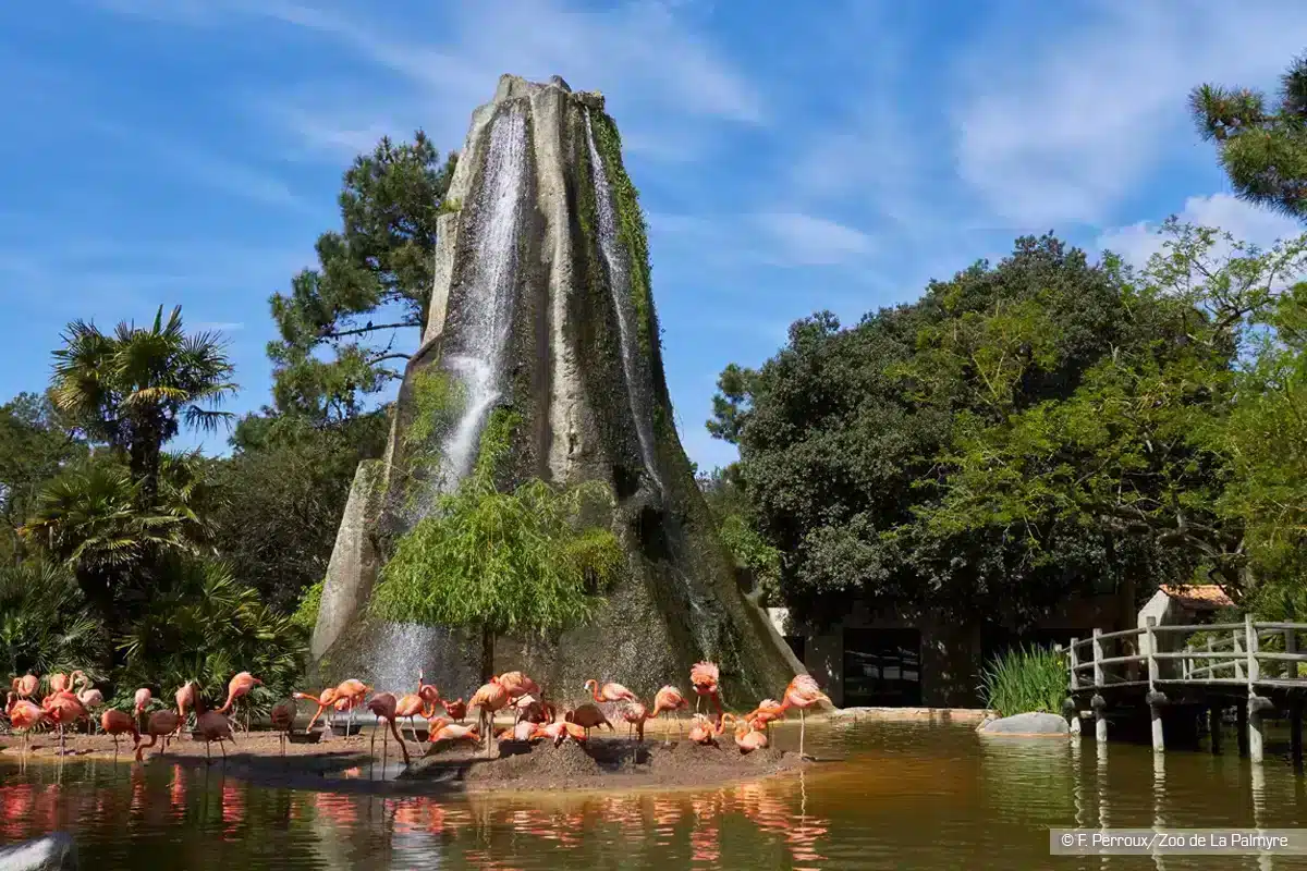 zoo palmyre Plage Royan